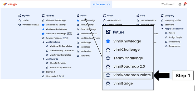 vimiRoadmap setup page